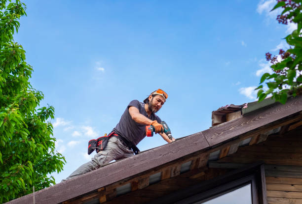 Best Emergency Roof Repair Services  in Ponderosa Park, CO